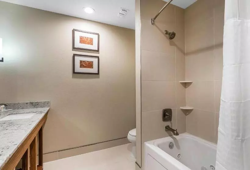 هتل Comfort Suites University