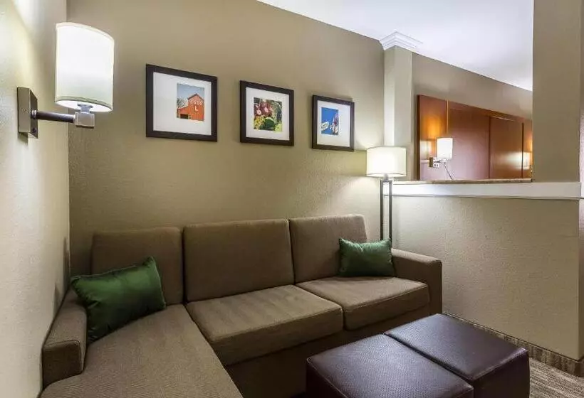 هتل Comfort Suites University