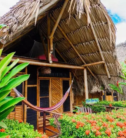 Tiki Hut Hostel