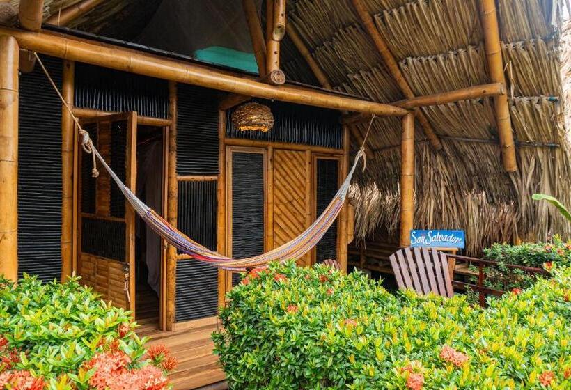 Tiki Hut Hostel