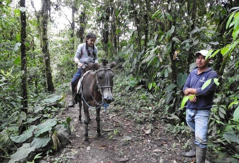 Biohostal Mindo Cloud Forest