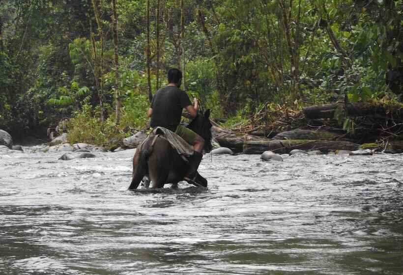 Biohostal Mindo Cloud Forest