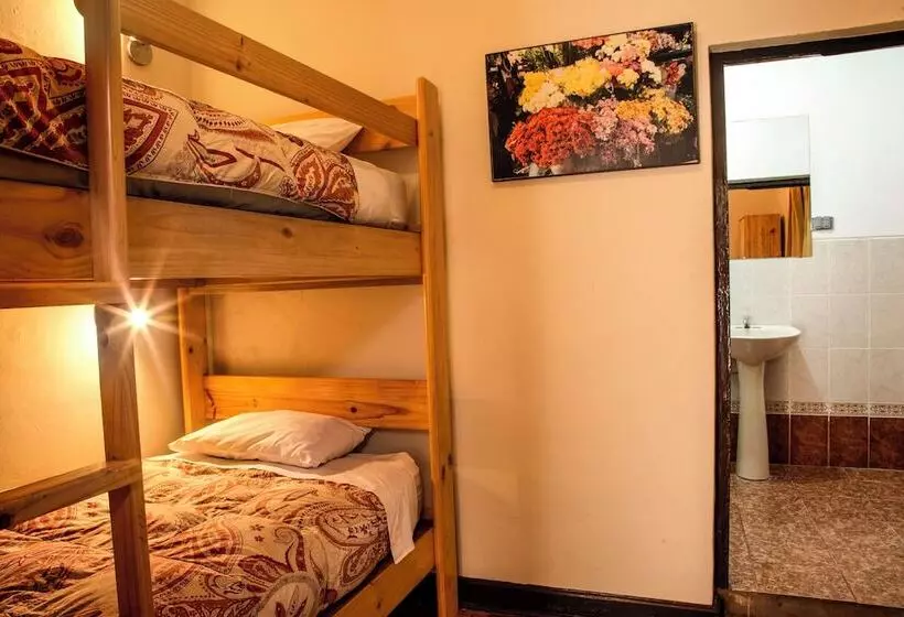 Hotel Bear Packer Cusco