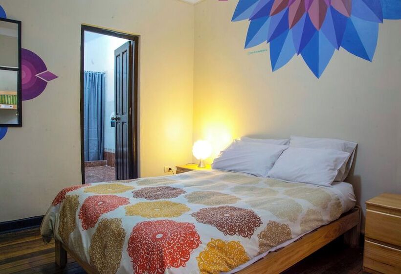 호텔 Bear Packer Cusco