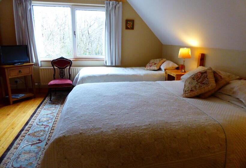 酒店 Camillaun Lodge With Lough Corrib Boat Hire