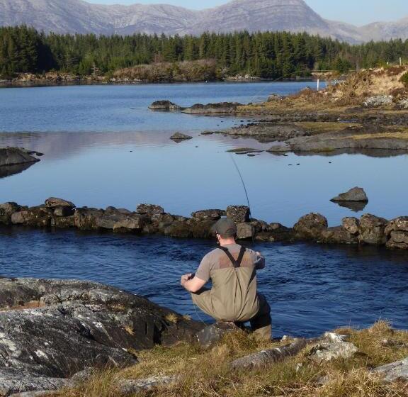 酒店 Camillaun Lodge With Lough Corrib Boat Hire