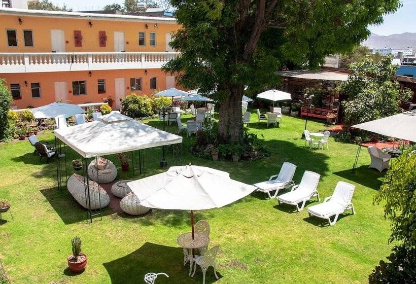 فندق Casa De Avila