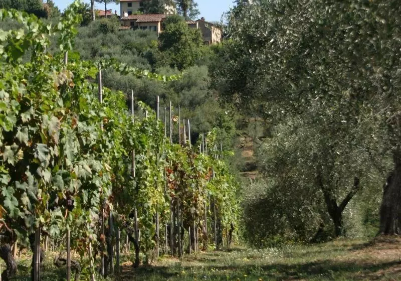 Hotelli Casa Fontanino