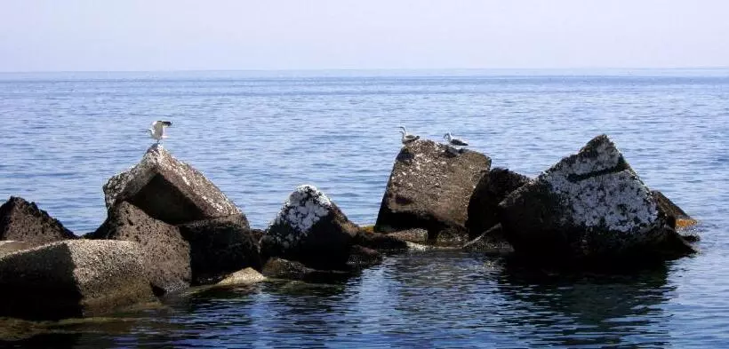 Hotelli Il Delfino