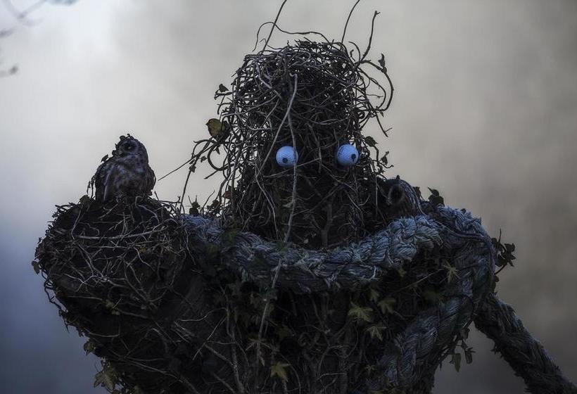 Fotos del hotel Mulvarra House:  12