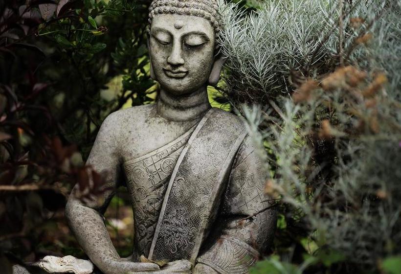 Fotos del hotel Mulvarra House:  9