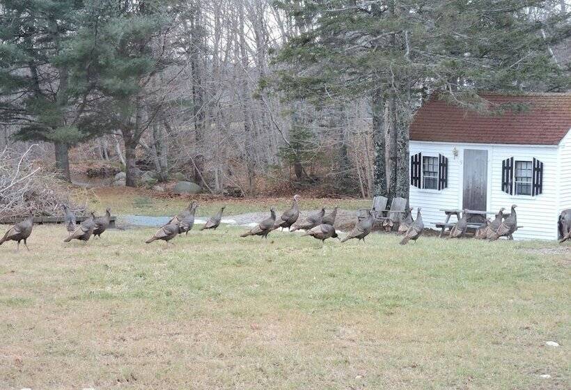 فندق Open Hearth Inn