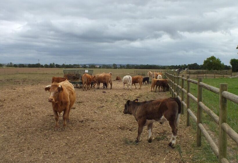 호텔 Quinta Da Gafaria