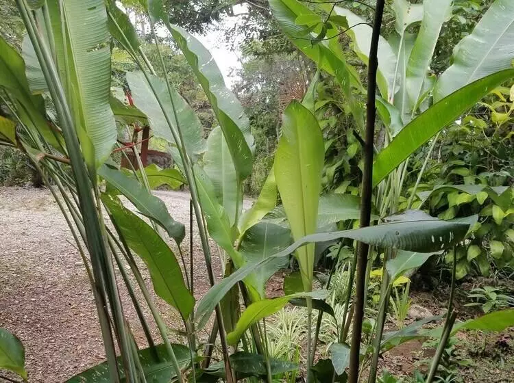 ホテル Samai Lodge Holistic Living