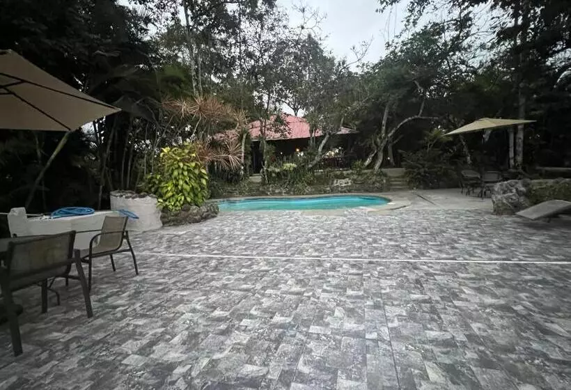 ホテル Samai Lodge Holistic Living