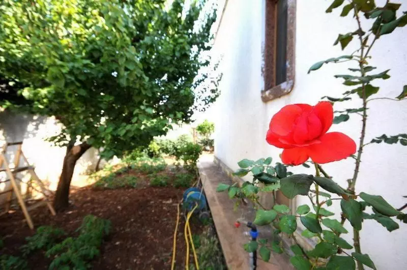 Santu Nicola Bed And Breakfast