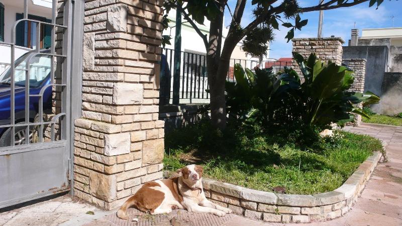 Santu Nicola Bed And Breakfast