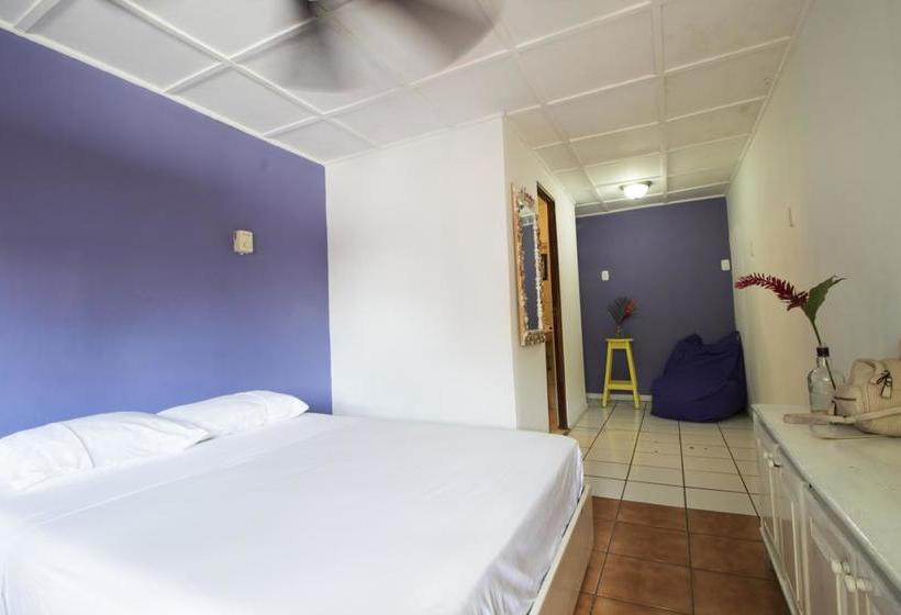 هاستل Beds On Bohio