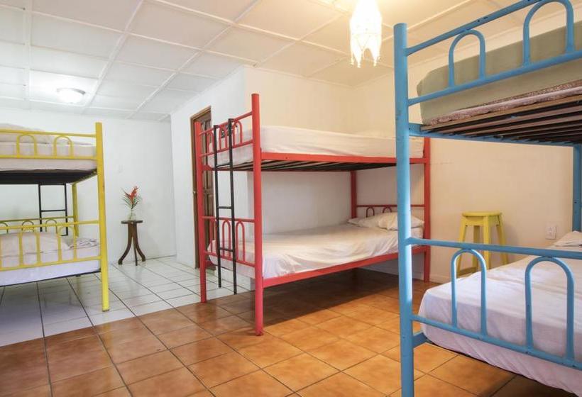 هاستل Beds On Bohio