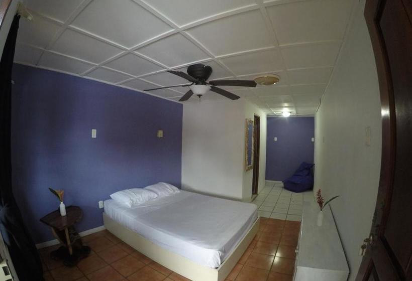 هاستل Beds On Bohio