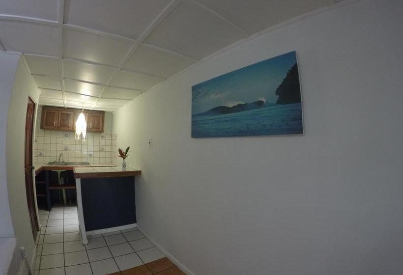 هاستل Beds On Bohio