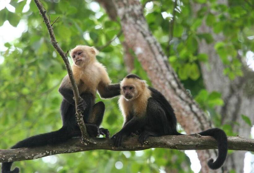 Banana Beach Bungalows