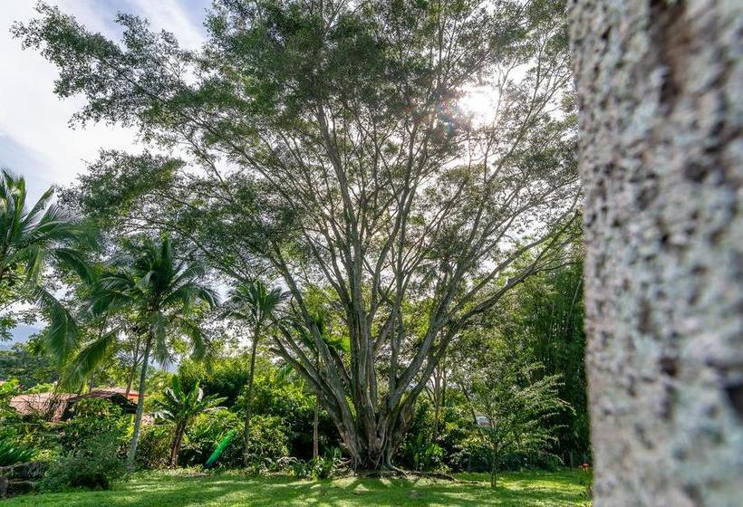 Bed & Breakfast Villa Margarita