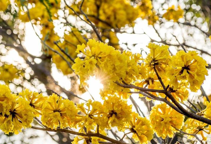 Bed & Breakfast Villa Margarita