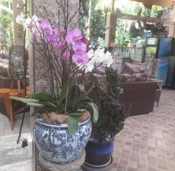 ベッドアンドブレックファースト Coyaba Tropical Elegant Adult Guesthouse