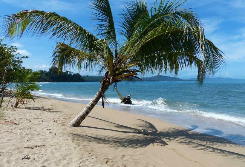 تختخواب و صبحانه El Colibri Rojo Cabinas Le Colibri Rouge