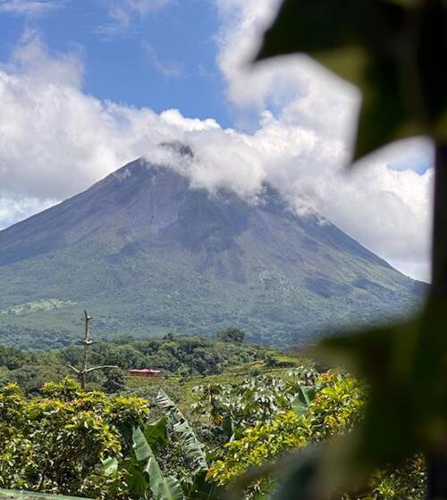 تختخواب و صبحانه Los Tucanes Lodging