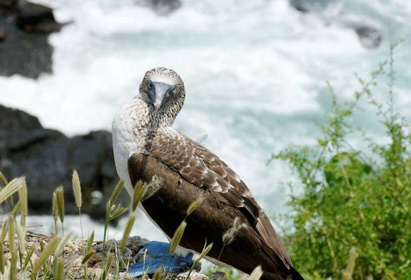 酒店 Azuluna Ecolodge