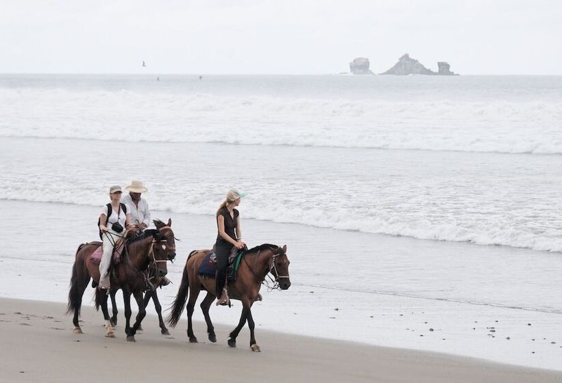 酒店 Azuluna Ecolodge