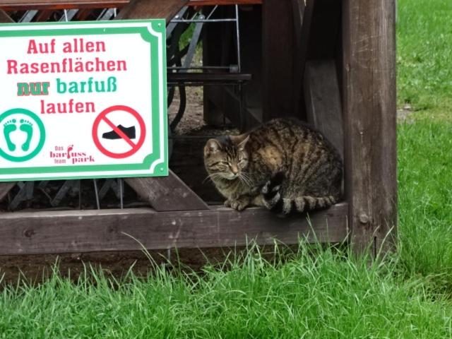 فندق Gasthaus & Pension Am Kurfürstendamm