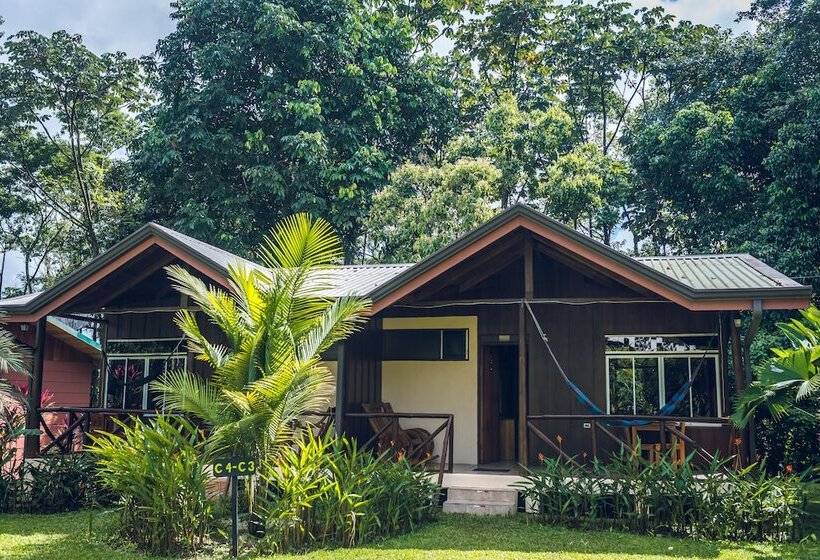 Отель Brisas Arenal