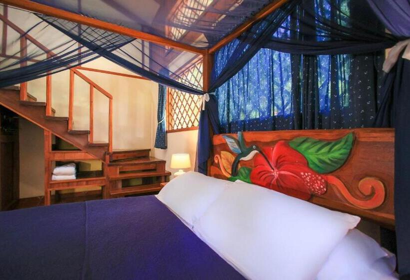 فندق Casa Merlin