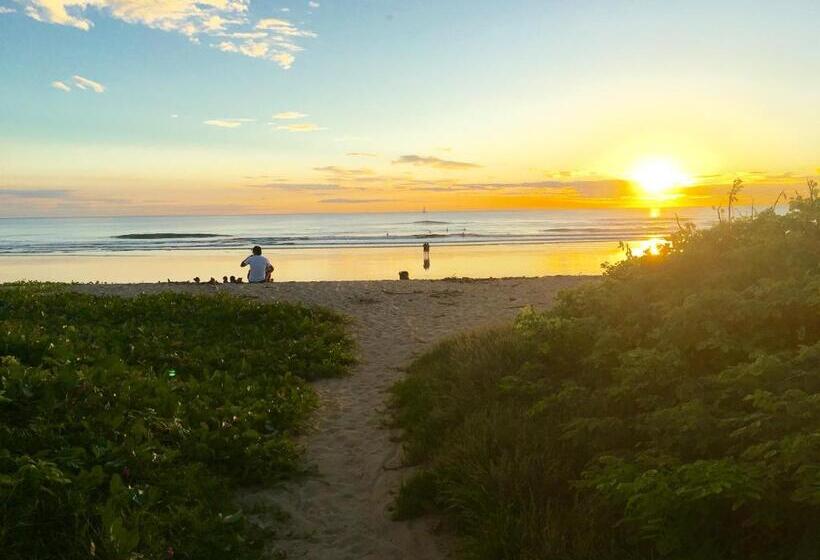 فندق El Reinas By Sugar S Monkey