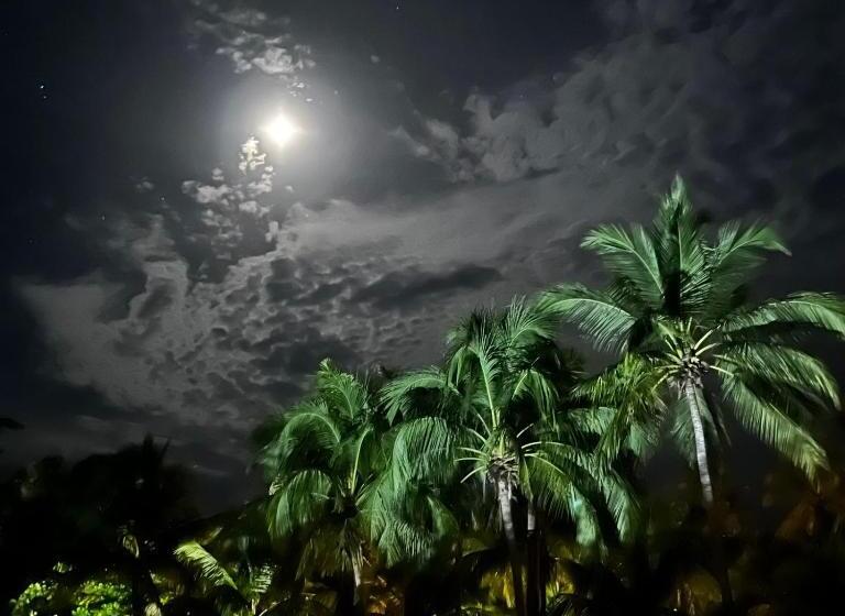 فندق El Reinas By Sugar S Monkey