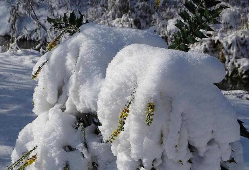 فندق Gasthaus & Pension Am Kurfürstendamm