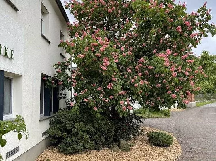 Hotelli Luther Birke Wittenberg