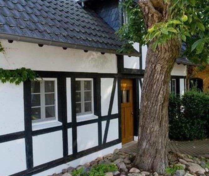 Hotel Luther Birke Wittenberg