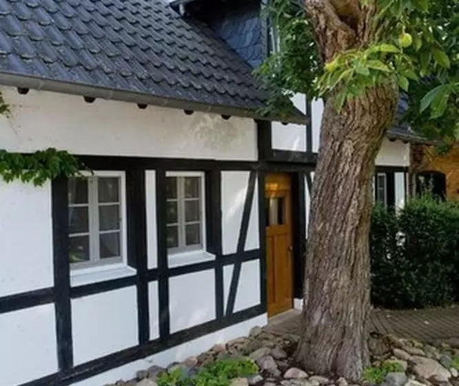 Hotelli Luther Birke Wittenberg