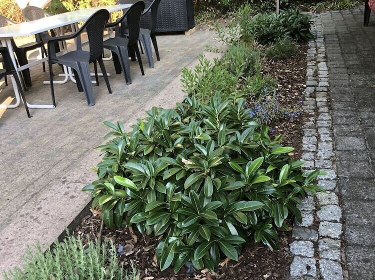 Hotel Luther Birke Wittenberg