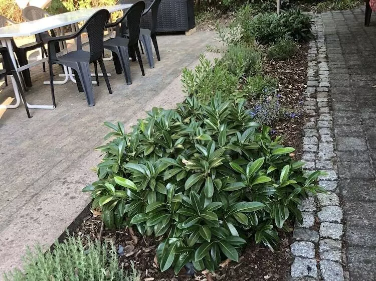 Hotelli Luther Birke Wittenberg