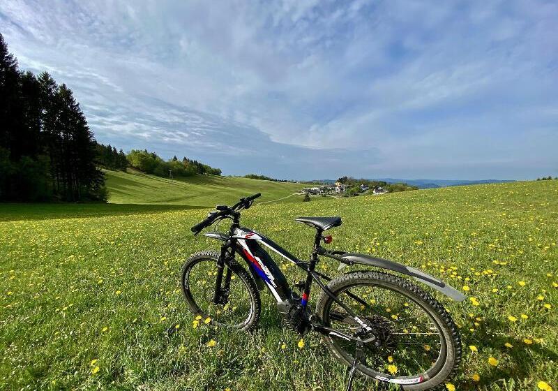 Naturhotel Wildewiese