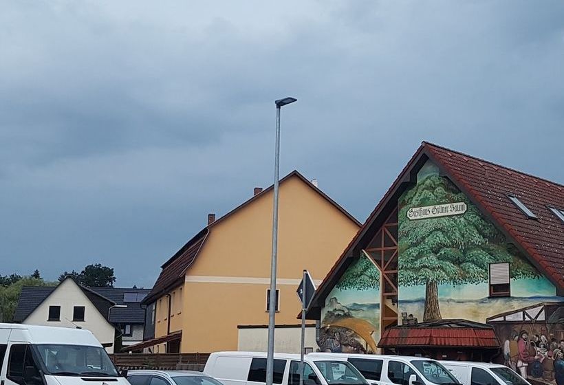 Отель Grüner Baum