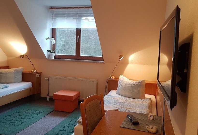 Отель Grüner Baum