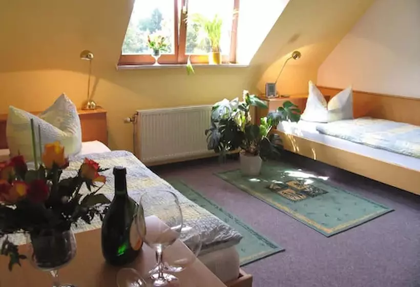 Hotel Grüner Baum