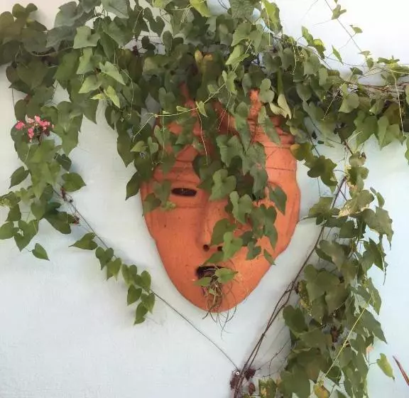 Sueño Grande B&b