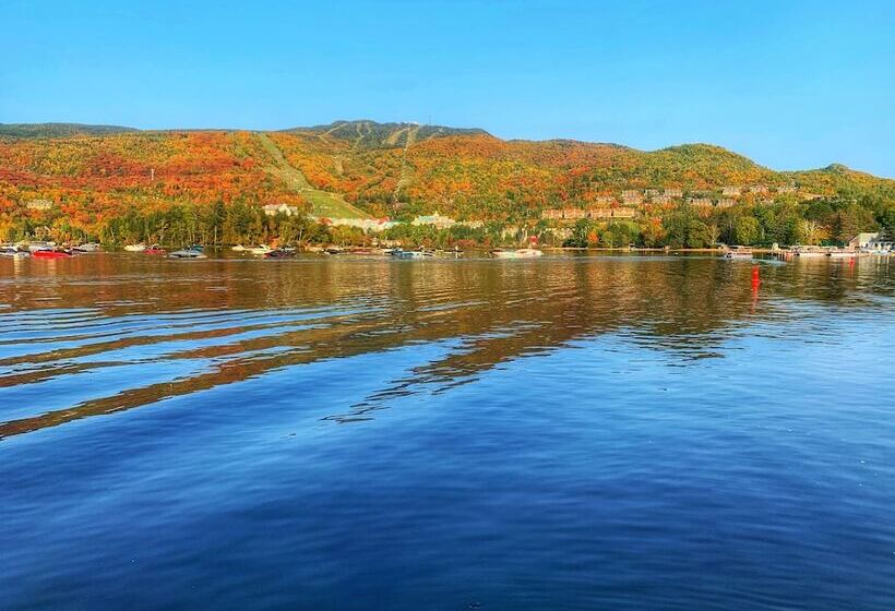 فندق Auberge Le Lupin Self Check In